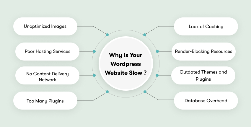 Why Is Your WordPress Website Slow?
